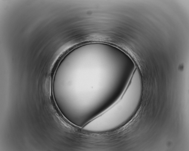 X0000099321123200805091035