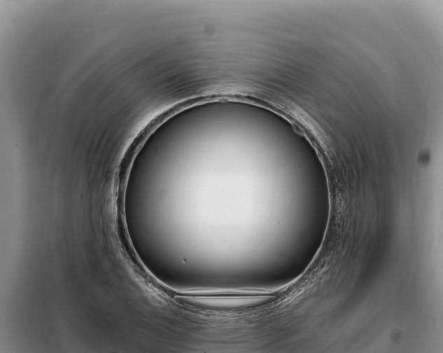 X0000099321124200805091035