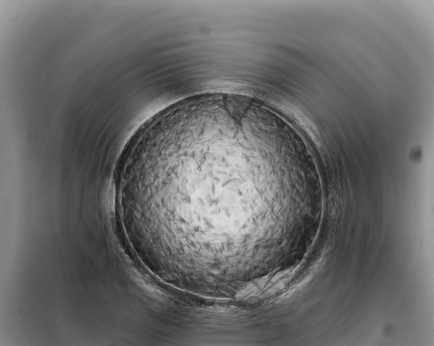 X0000099321125200805091035