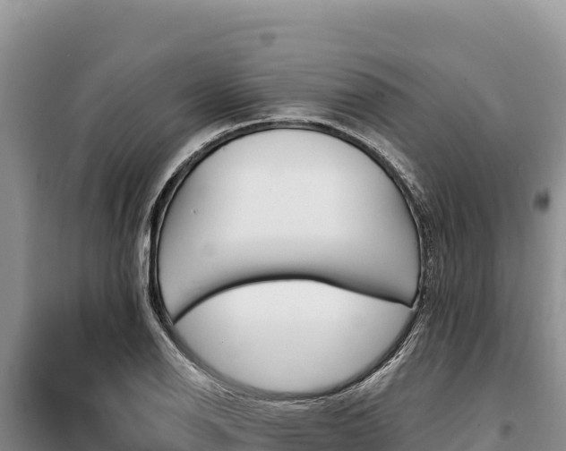 X0000099321126200805091035