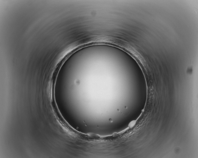 X0000099321127200805091035