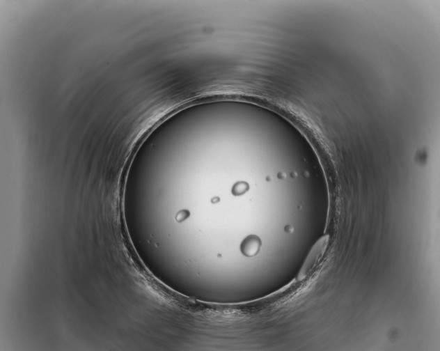 X0000099321129200805091035