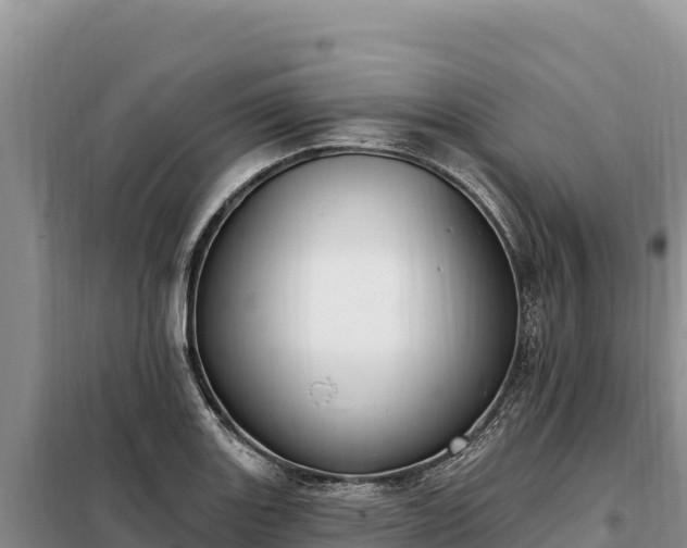 X0000099321131200805091035