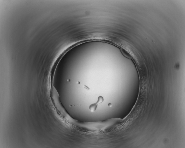 X0000099321132200805091035