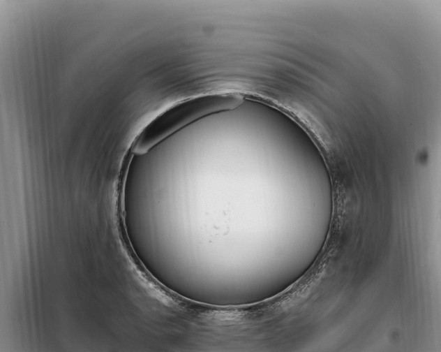 X0000099321134200805091035