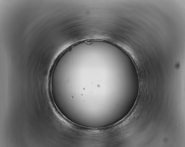 X0000099321135200805091035