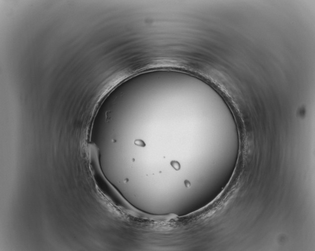 X0000099321137200805091035