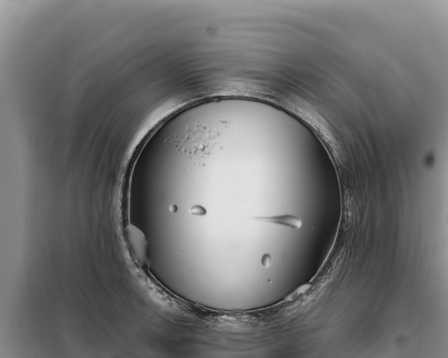 X0000099321138200805091036