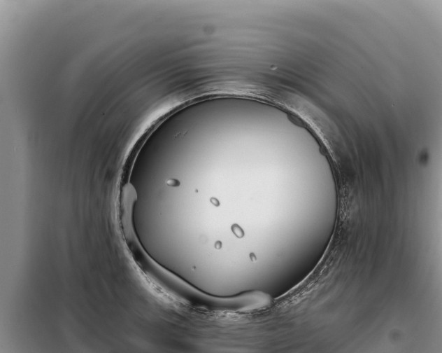 X0000099321139200805091036