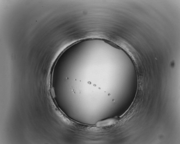 X0000099321140200805091036