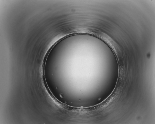 X0000099321141200805091036