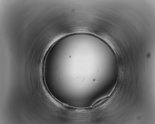 X0000099321142200805091036