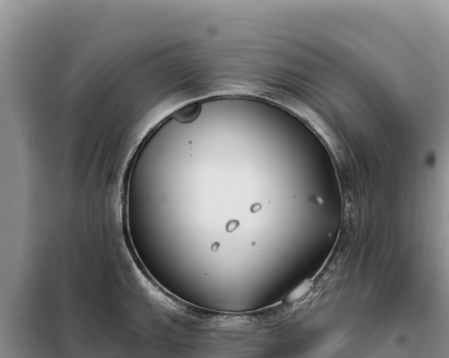 X0000099321143200805091036