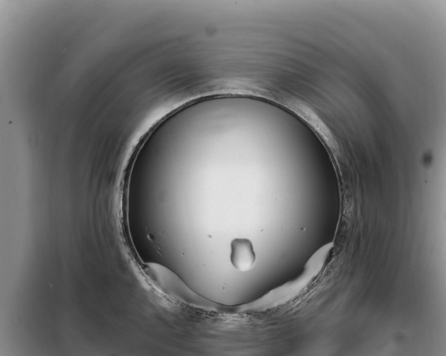 X0000099321144200805091036