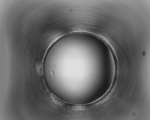 X0000099321145200805091036