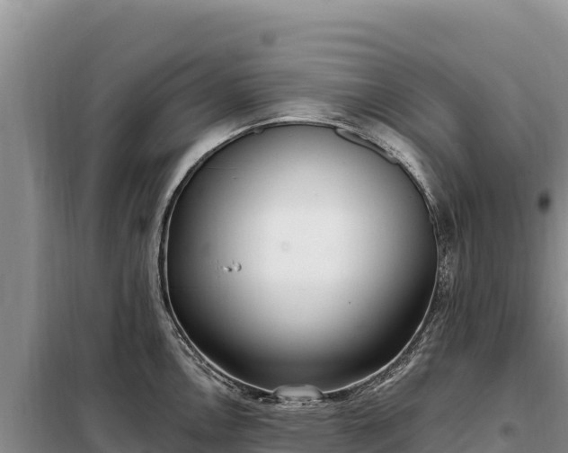 X0000099321146200805091036