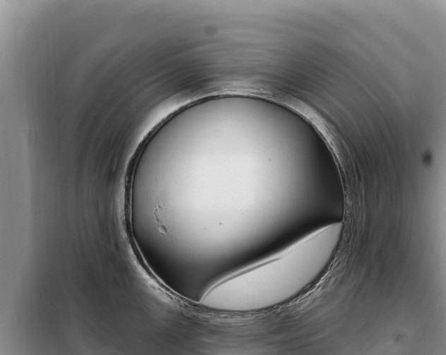 X0000099321147200805091036