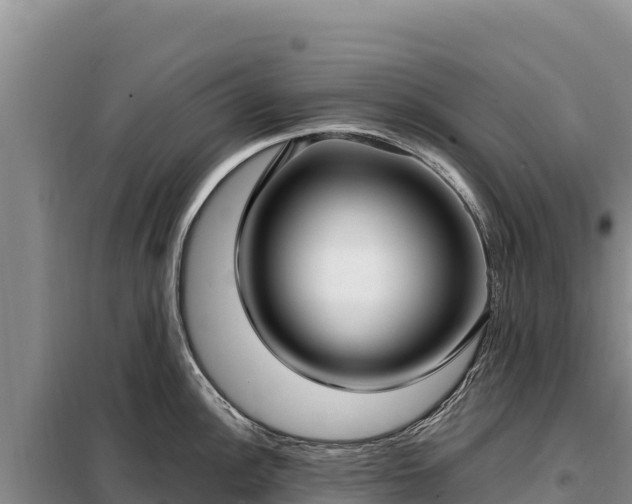 X0000099321148200805091036