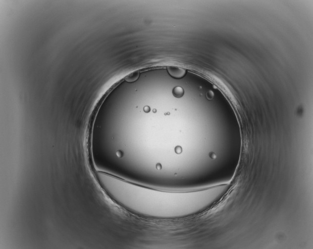 X0000099321149200805091036