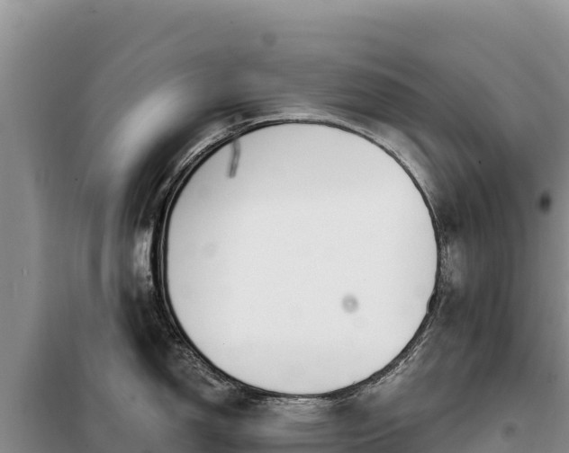 X0000099321150200805091036