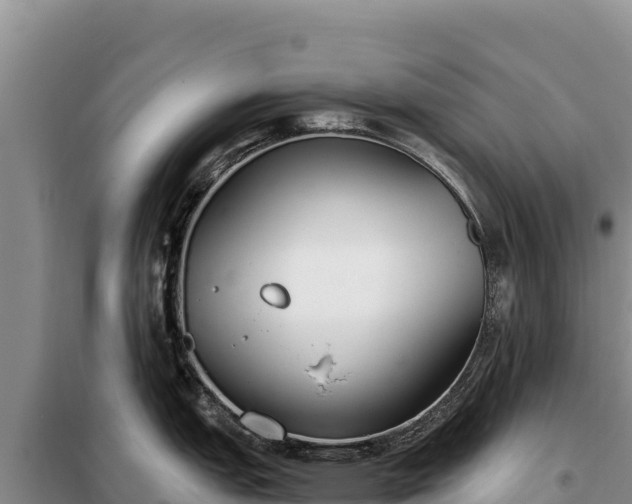 X0000099321151200805091036