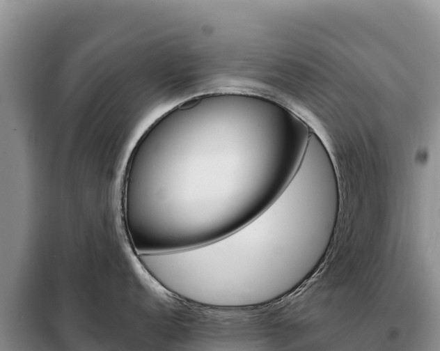 X0000099321152200805091036