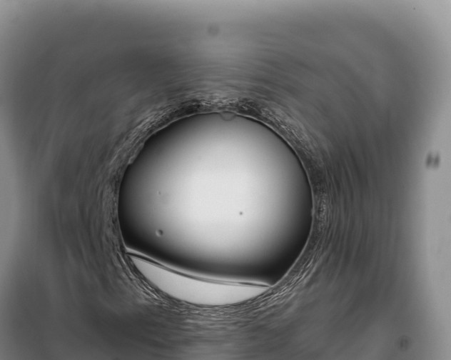 X0000099321153200805091035