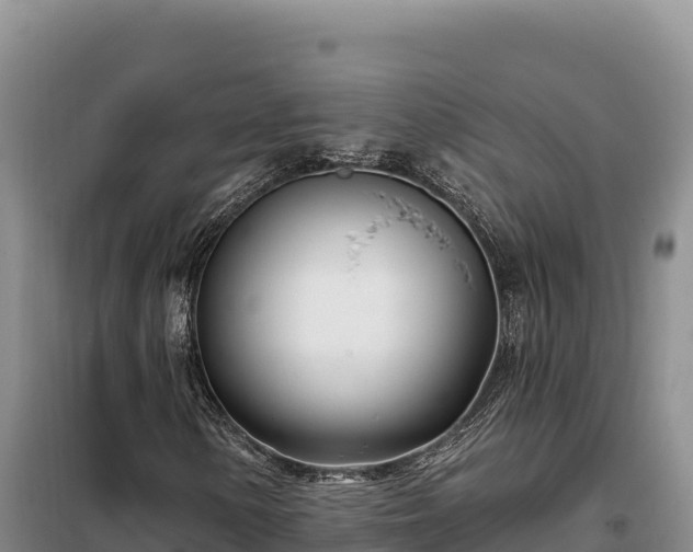 X0000099321154200805091035