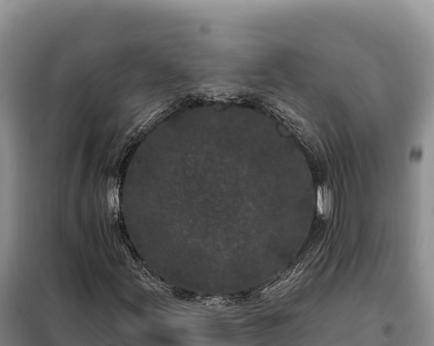 X0000099321155200805091035