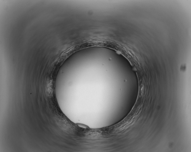 X0000099321156200805091035