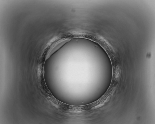 X0000099321157200805091035