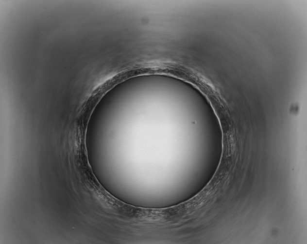 X0000099321158200805091035