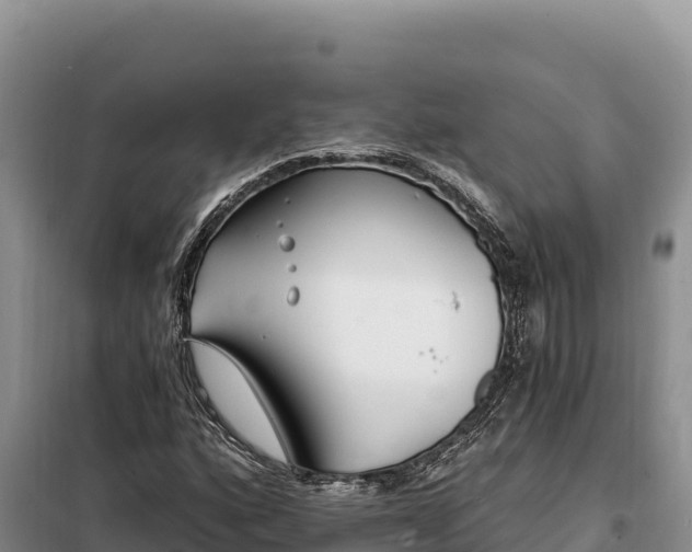 X0000099321160200805091035