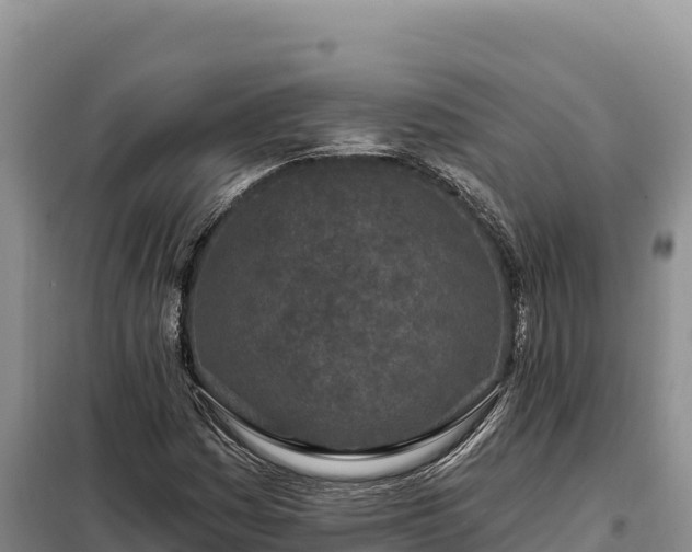 X0000099321161200805091035