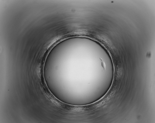 X0000099321162200805091035