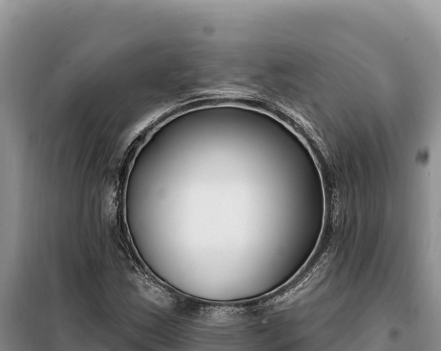 X0000099321163200805091035