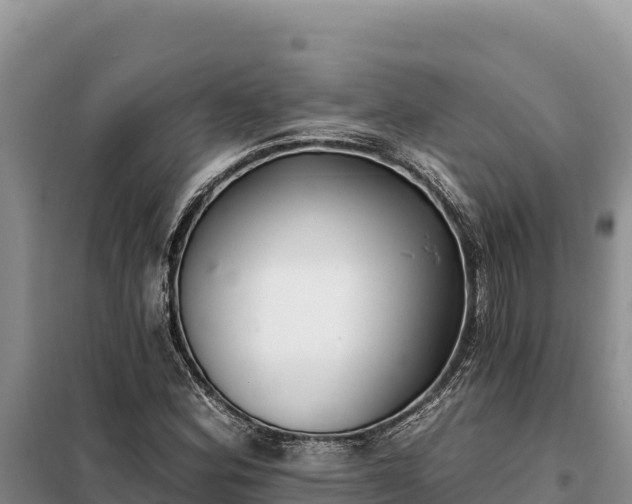 X0000099321164200805091035