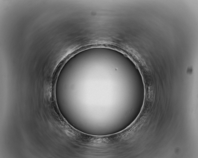 X0000099321165200805091035