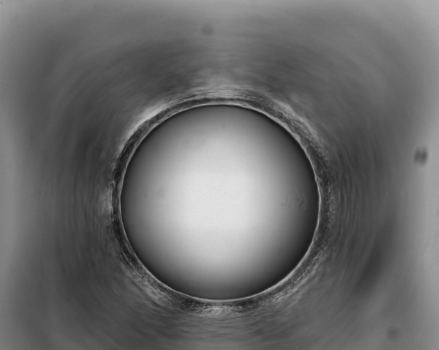 X0000099321166200805091035