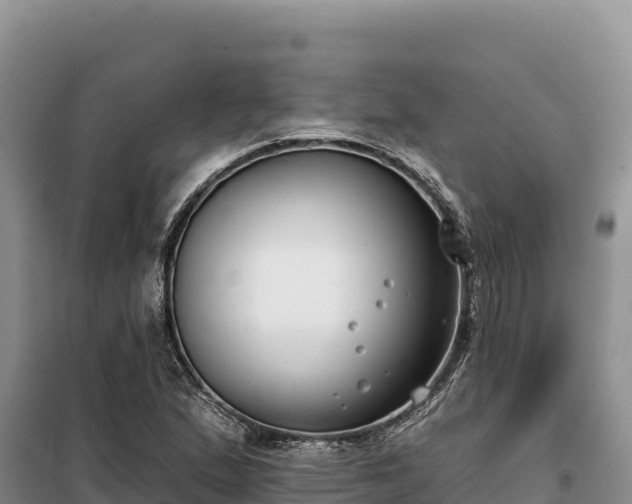 X0000099321167200805091035