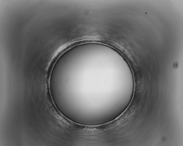 X0000099321168200805091035