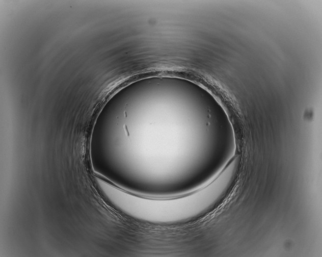 X0000099321169200805091035