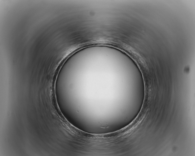 X0000099321170200805091035