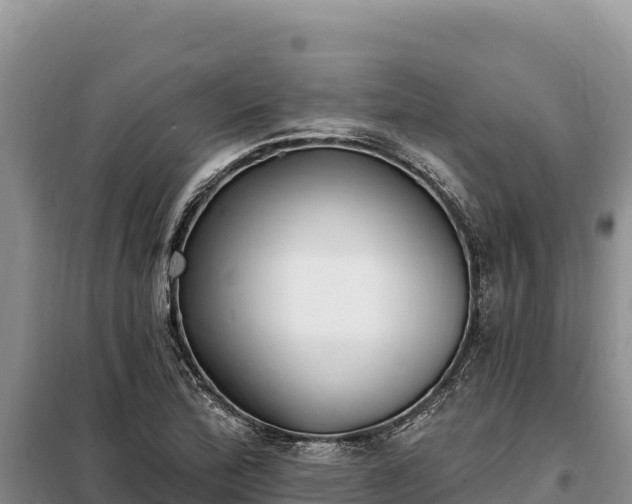 X0000099321172200805091035