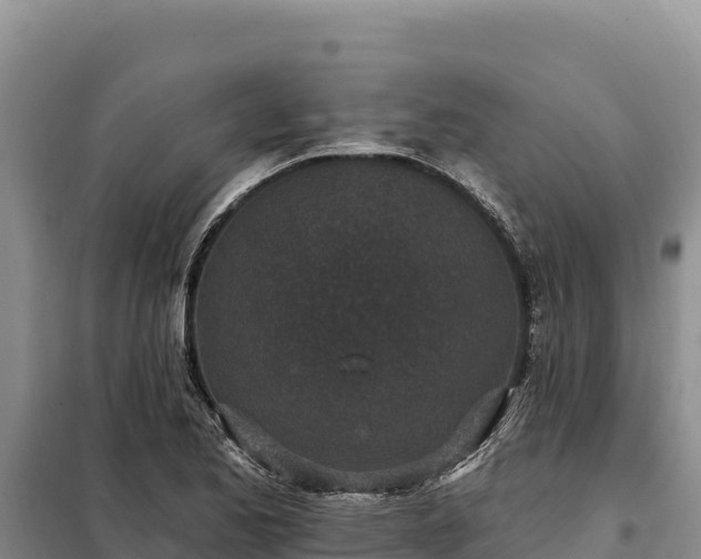 X0000099321173200805091035