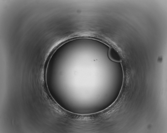 X0000099321174200805091035