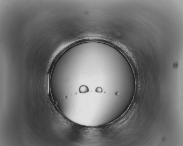 X0000099321175200805091035