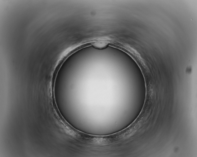 X0000099321176200805091035