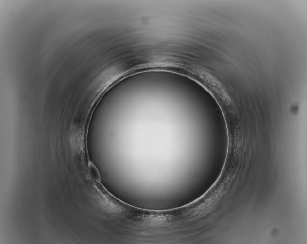 X0000099321177200805091035