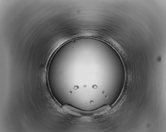 X0000099321178200805091035